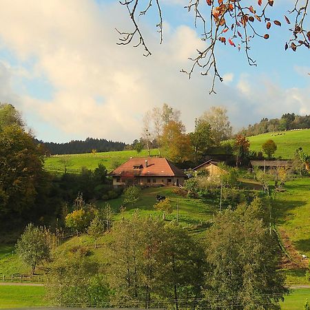 Hernis-Hoefle Elzach Exterior photo