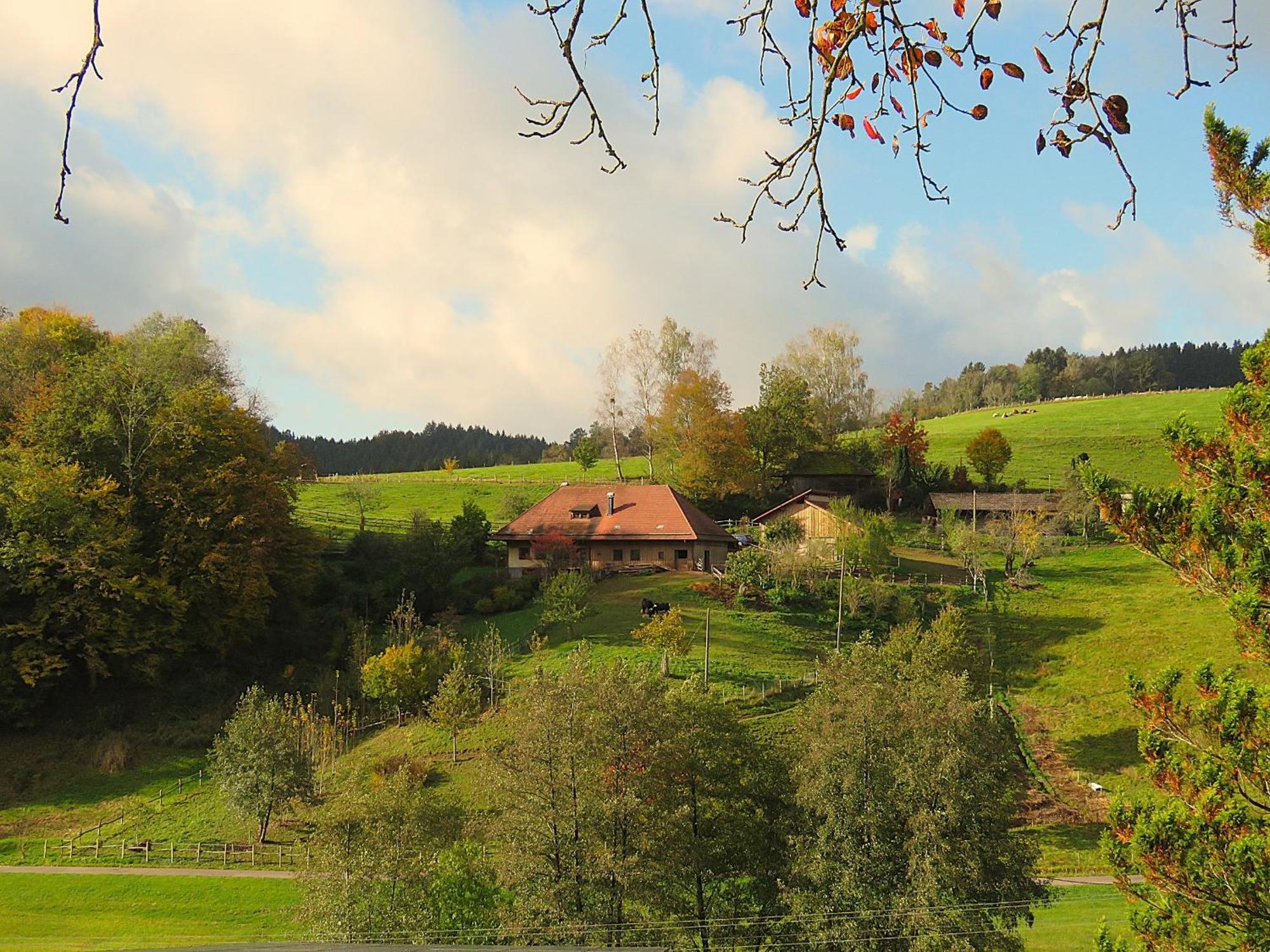 Hernis-Hoefle Elzach Exterior photo