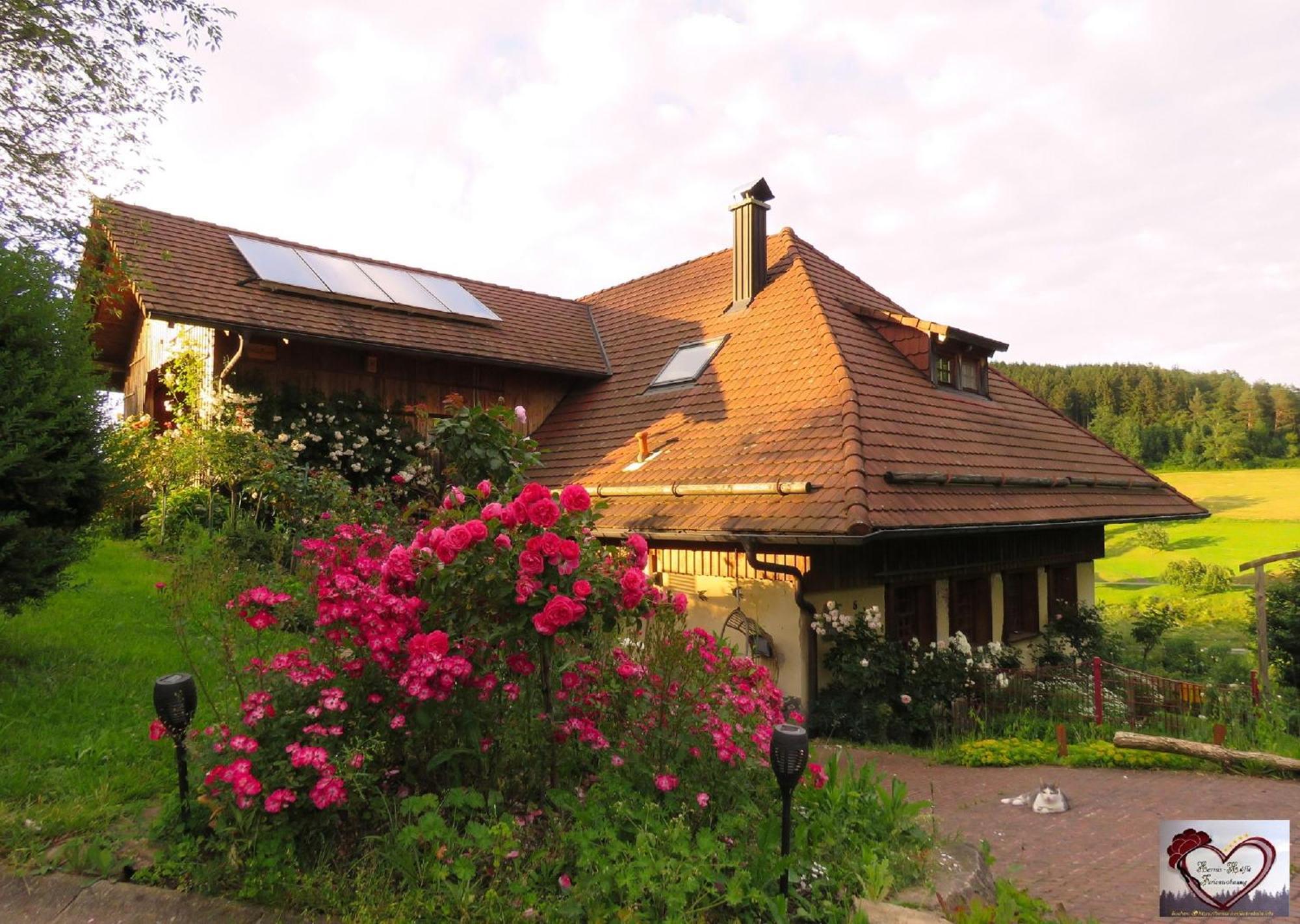 Hernis-Hoefle Elzach Exterior photo