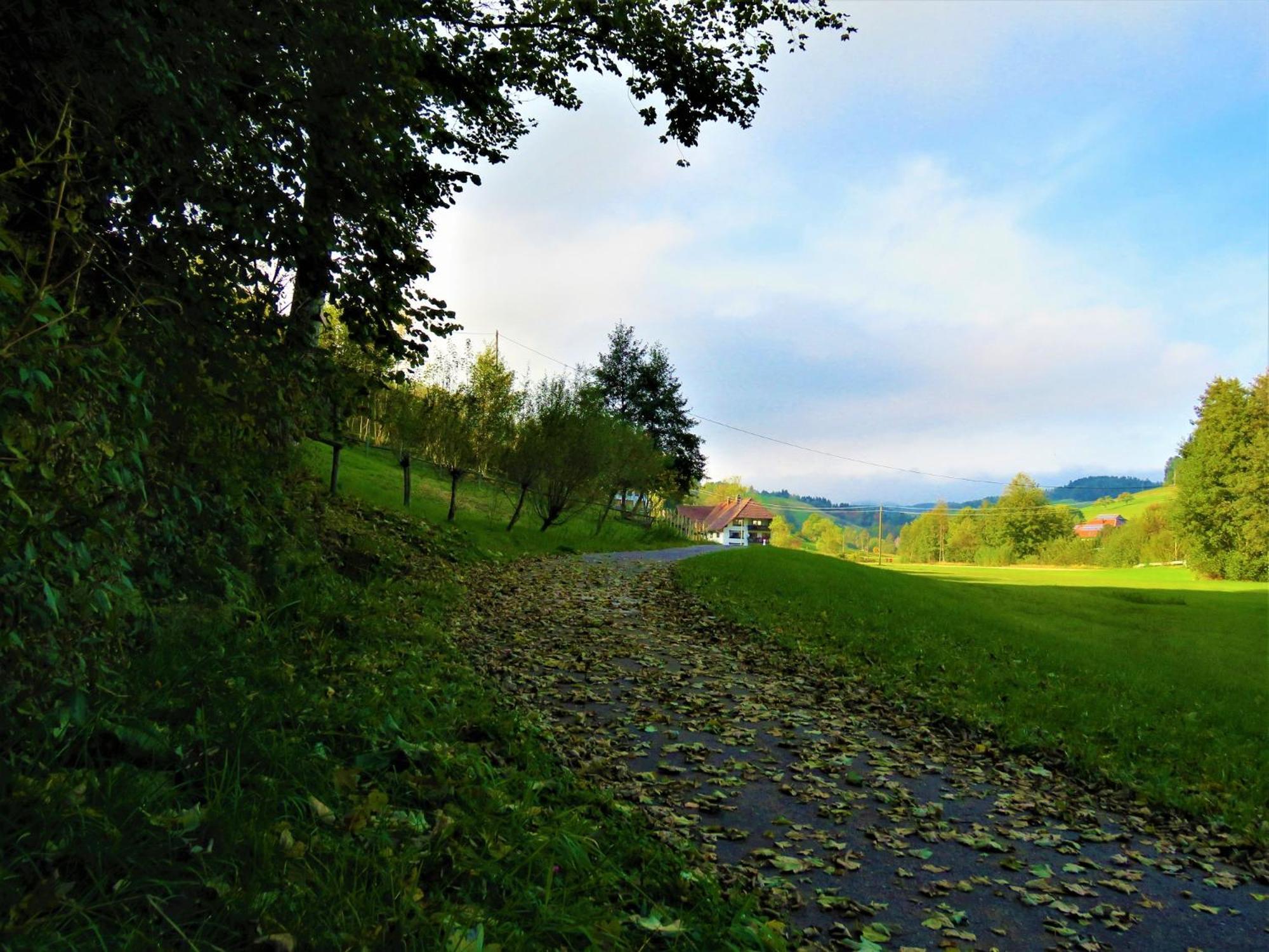Hernis-Hoefle Elzach Exterior photo