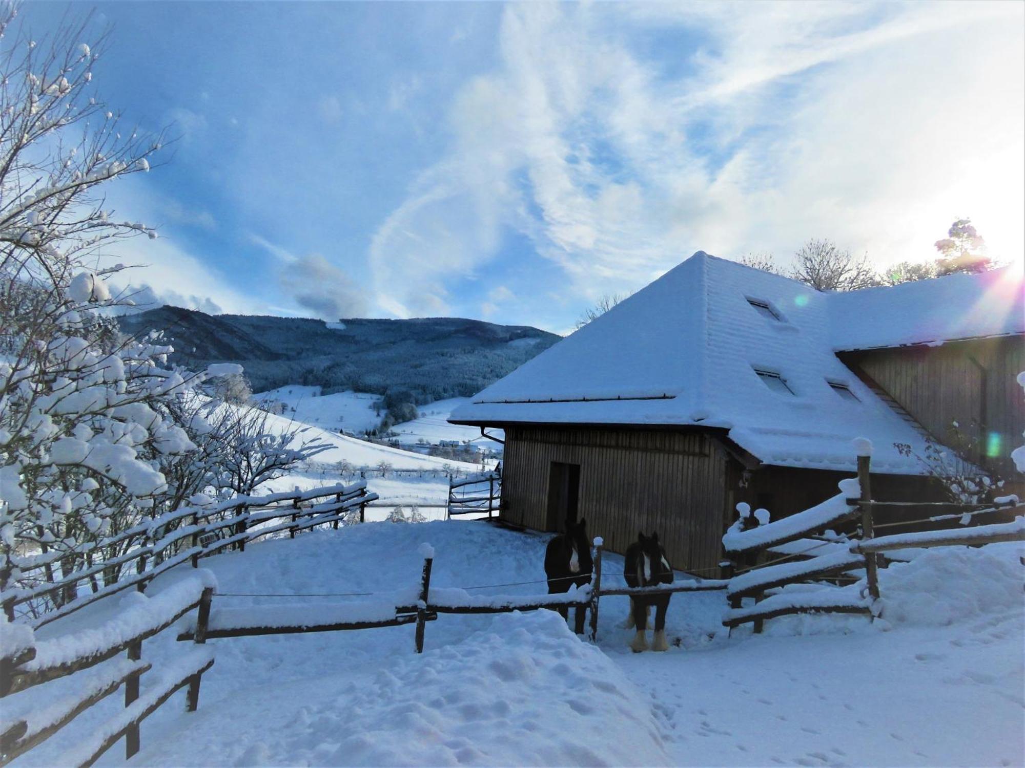 Hernis-Hoefle Elzach Exterior photo